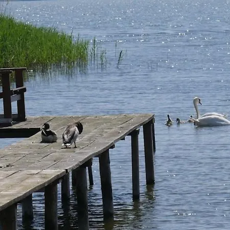 Hausboot In Am Bodden Bådhotel Kröslin
